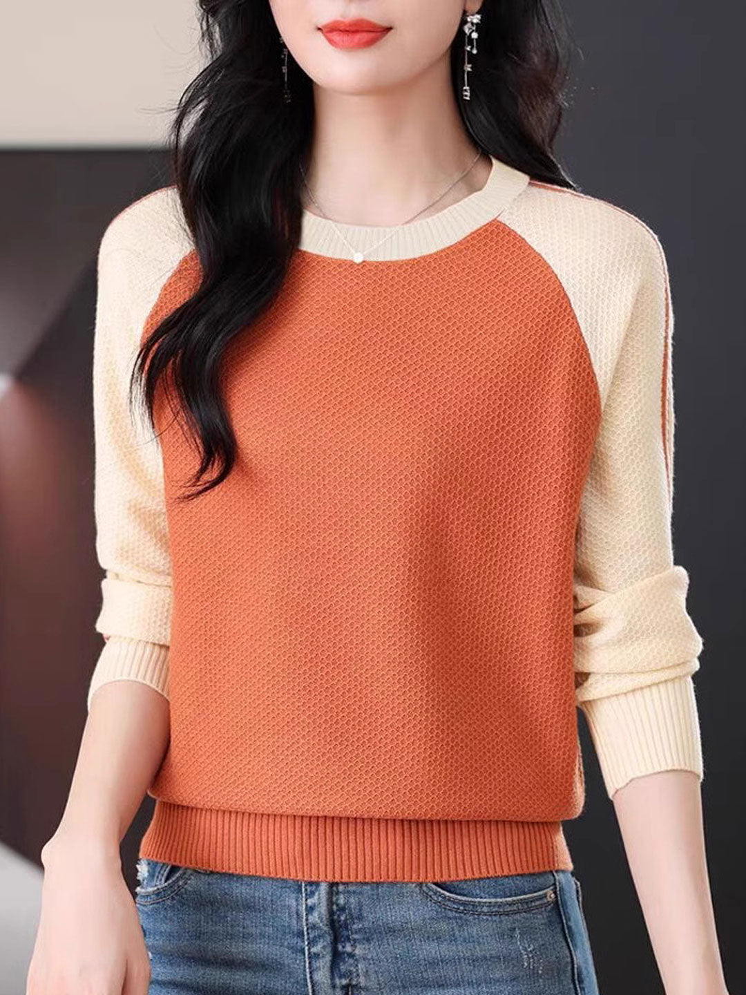 Camila Casual Crew Neck Colorblock Knitted Sweater